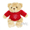 Personalised Teddy Message Bear in Red Jumper