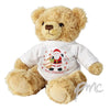 Personalised Felt Stitch Santa Teddy