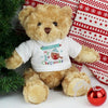 Personalised Felt Stitch Robin 'My 1st Christmas' Teddy